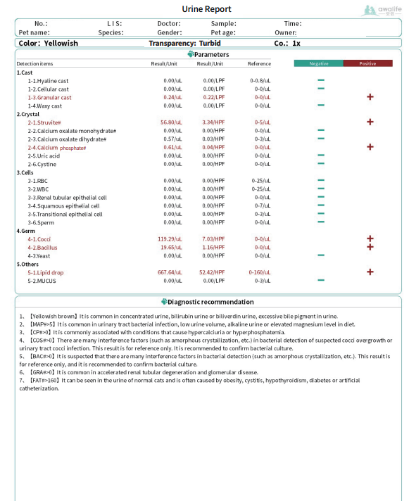 posnetek zaslona 2025 09 30 231839