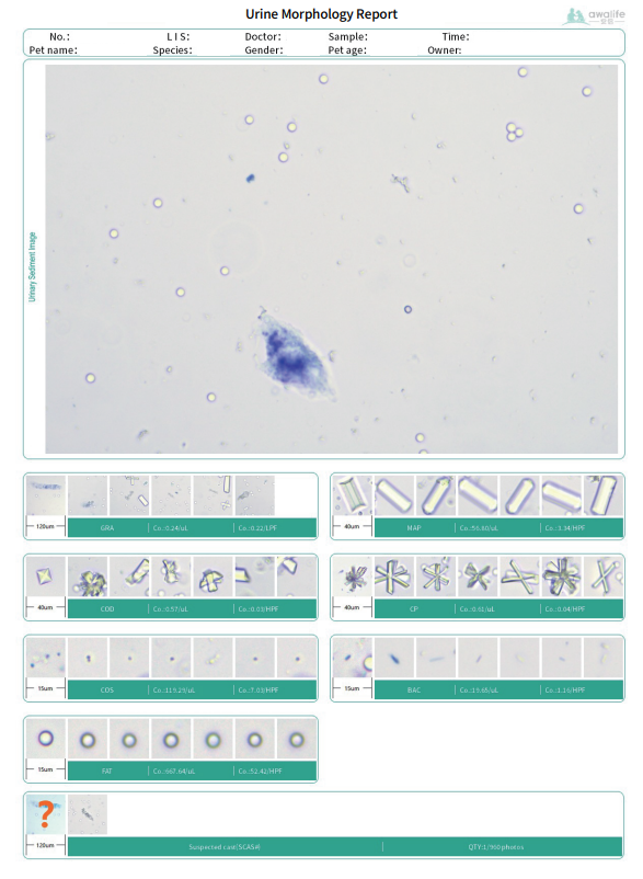 posnetek zaslona 2025 09 30 231851