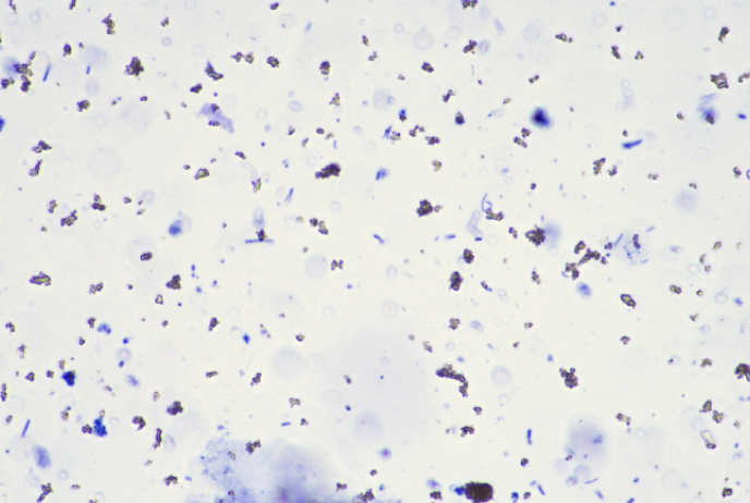 posnetek zaslona 2025 10 02 000942