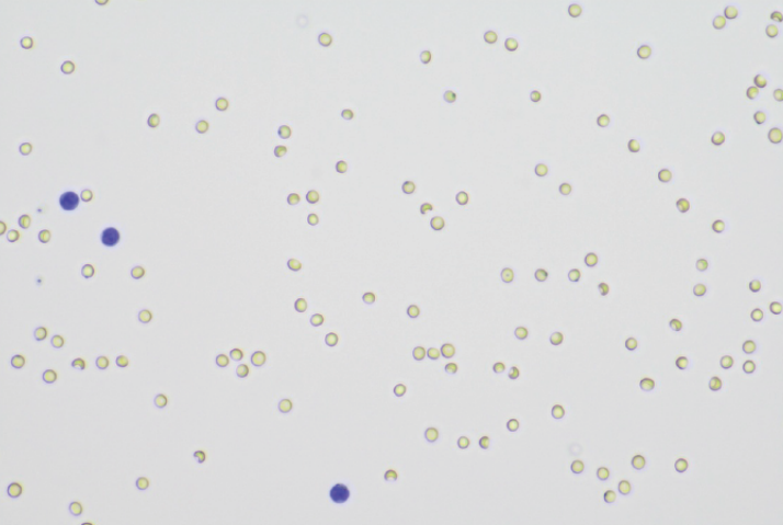 posnetek zaslona 2025 10 02 001237